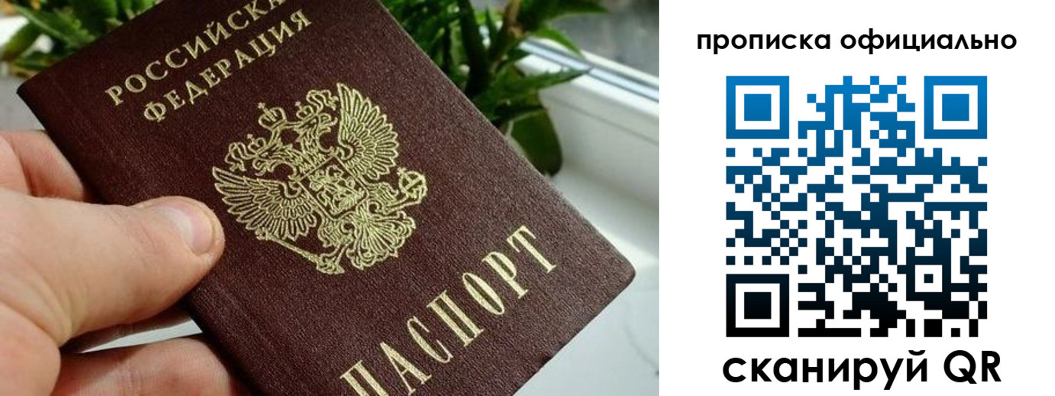 прописка поиск в Заринске